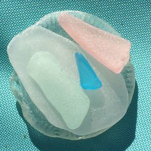 Meet your Posher, Lynn